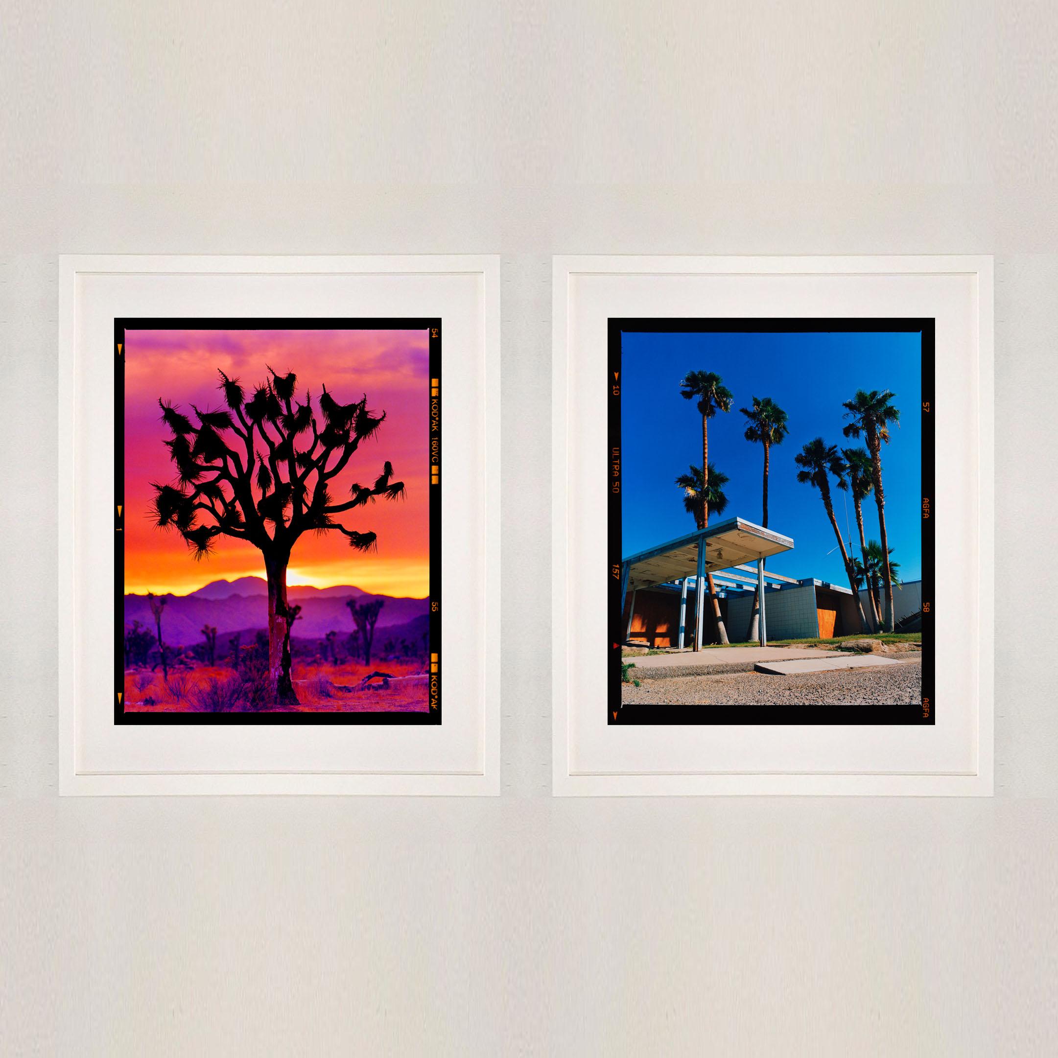 Foto des amerikanischen Wüstenbaums Joshua Tree aus der Serie Traum in Farbe von Richard Heeps. Der ikonische Joshua Tree erhebt sich stolz als Silhouette gegen die magischen, vielschichtigen Farben des Wüstenhimmels bei Sonnenuntergang.

Dieses