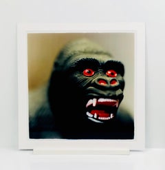 King Kong, Stockton-on-Tees