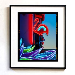 Neon Flamingo, Norfolk - Pop Art Color Photograph