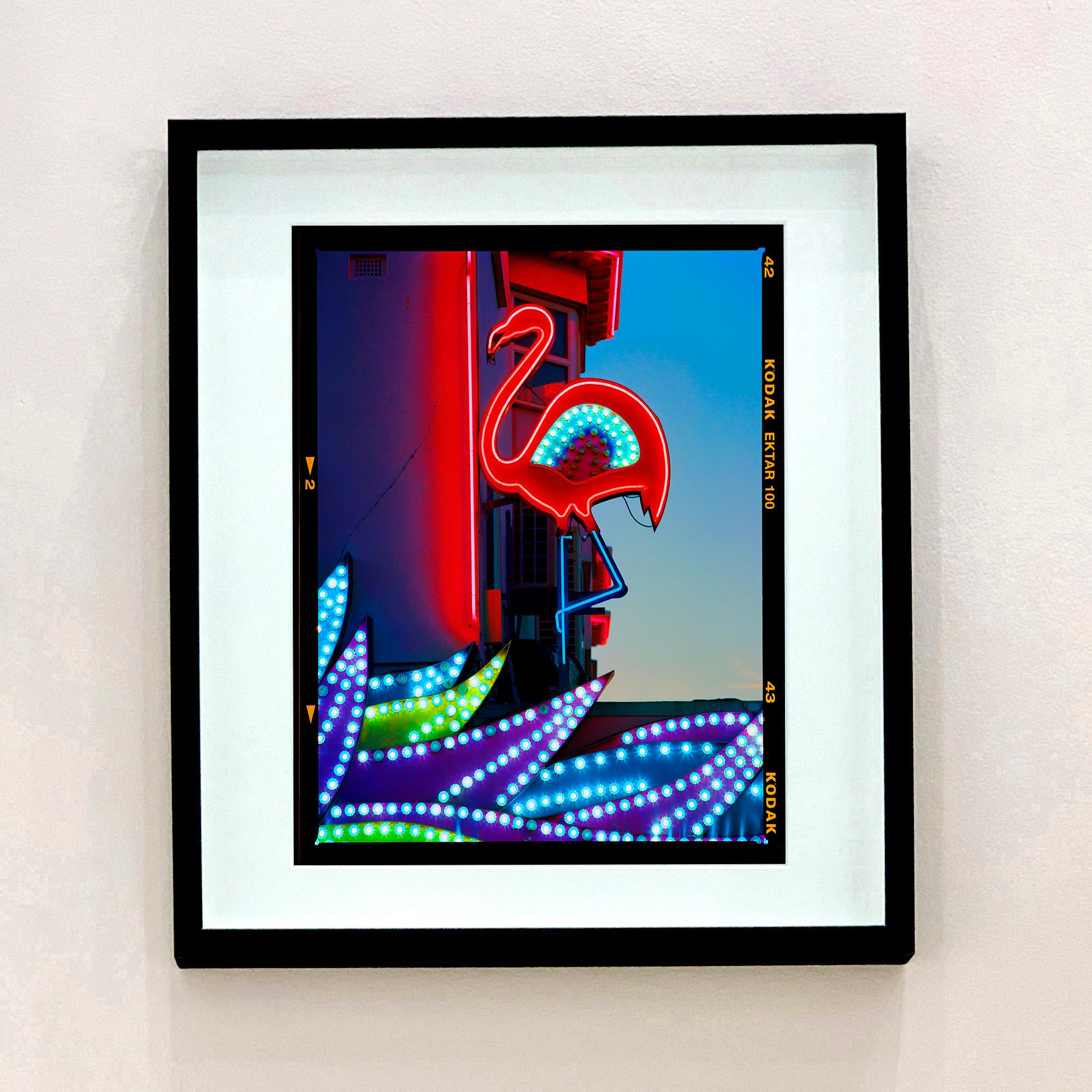 Flamant rose, Norfolk - Photographie couleur Pop Art - Noir Color Photograph par Richard Heeps