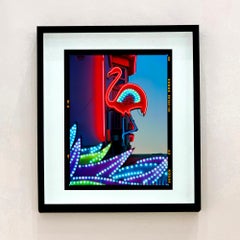 Neon Flamingo, Norfolk - Pop Art Color Photograph