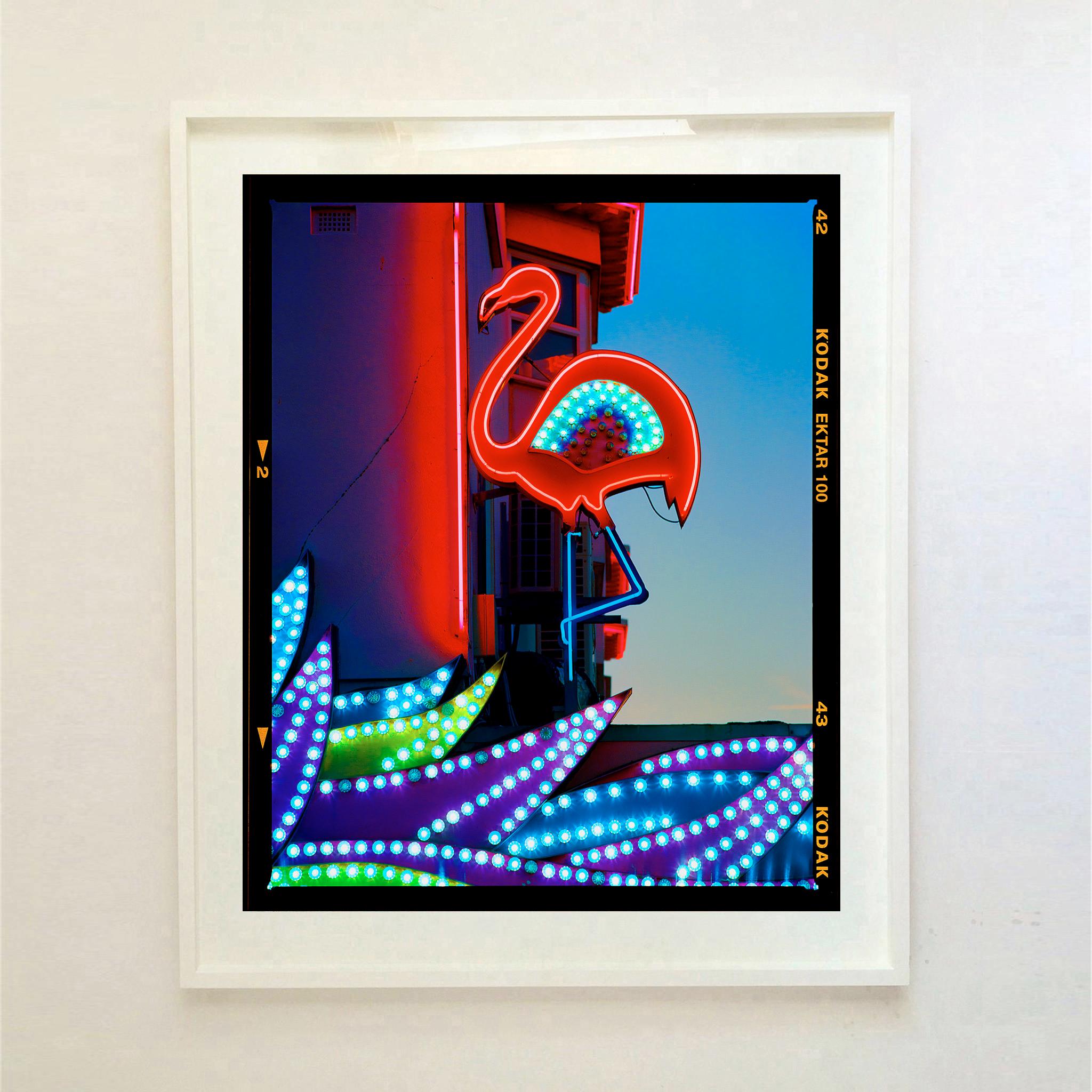 Neon Flamingo, Norfolk - Pop Art Color Photograph For Sale 3