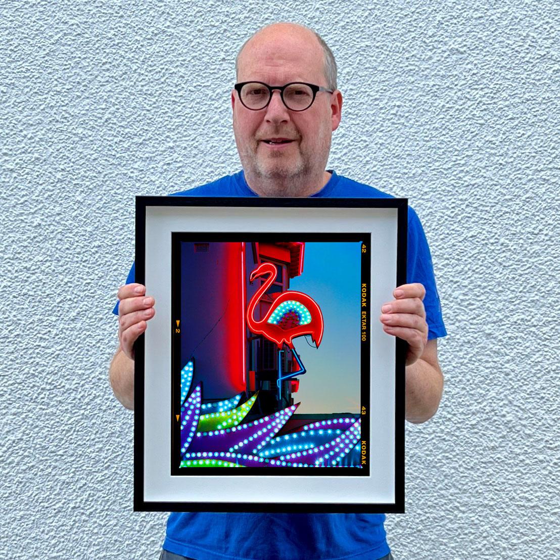 Flamant rose, Norfolk - Photographie couleur Pop Art en vente 1