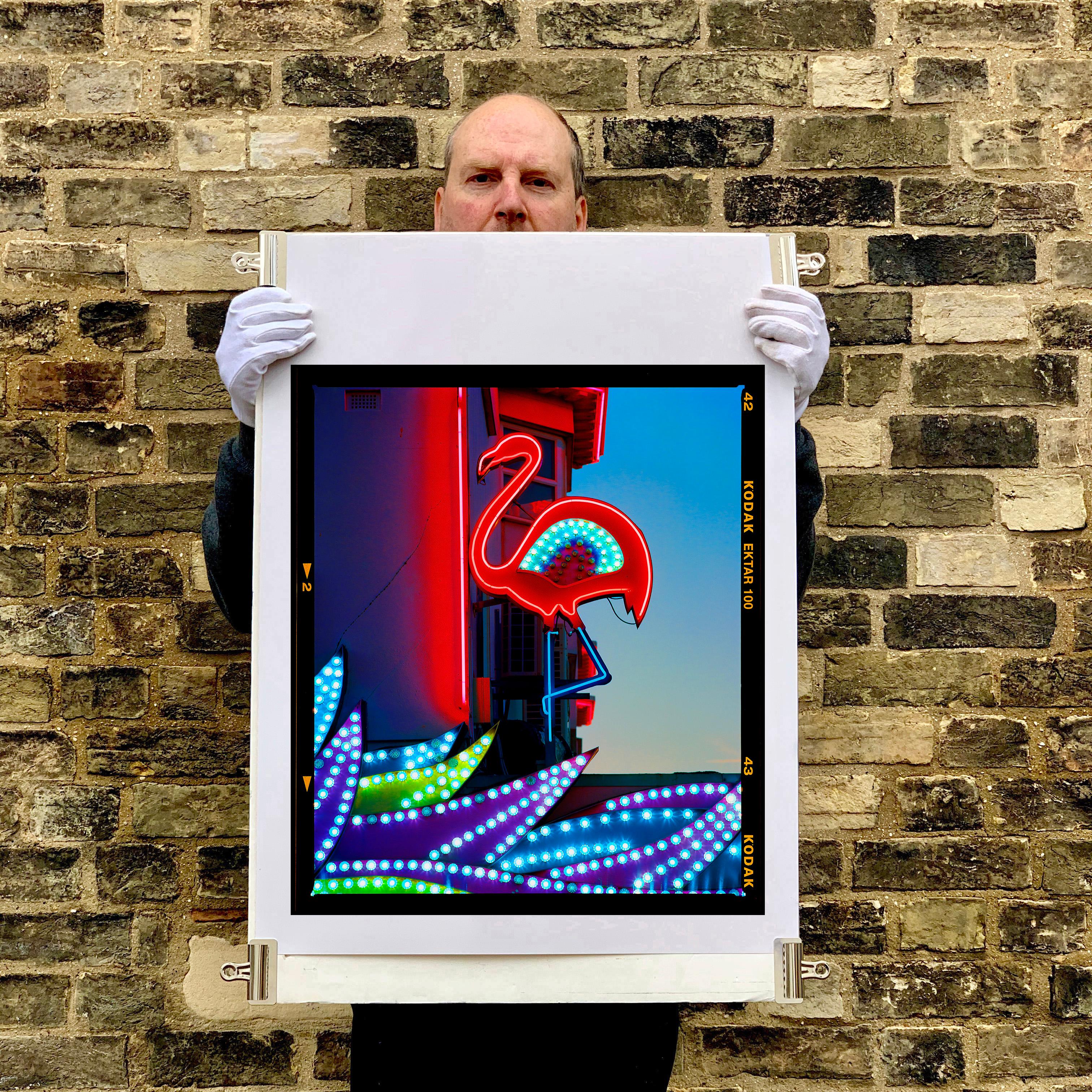 Neon Flamingo, Norfolk - Pop Art Color Photograph For Sale 5