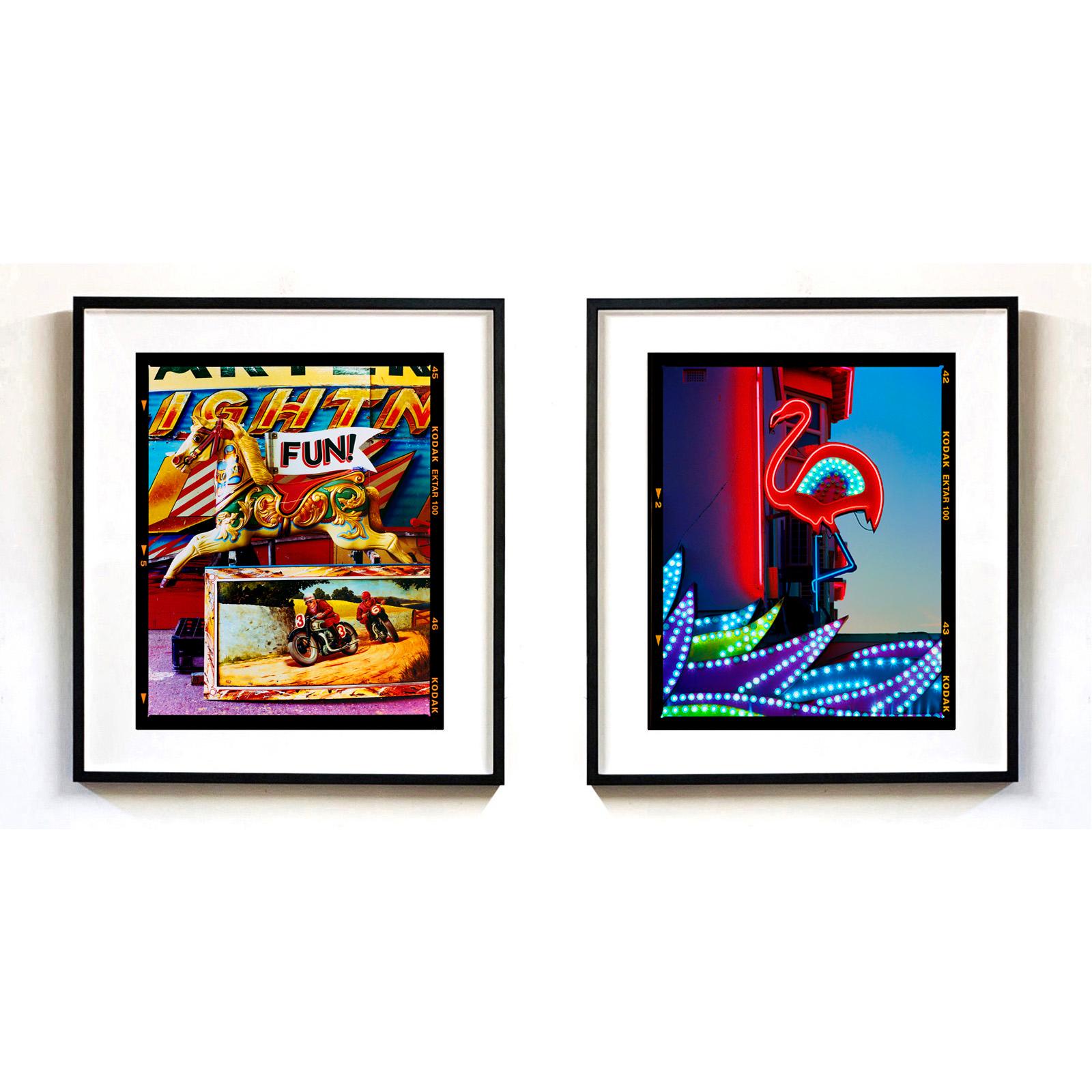 Flamant rose, Norfolk - Photographie couleur Pop Art en vente 2