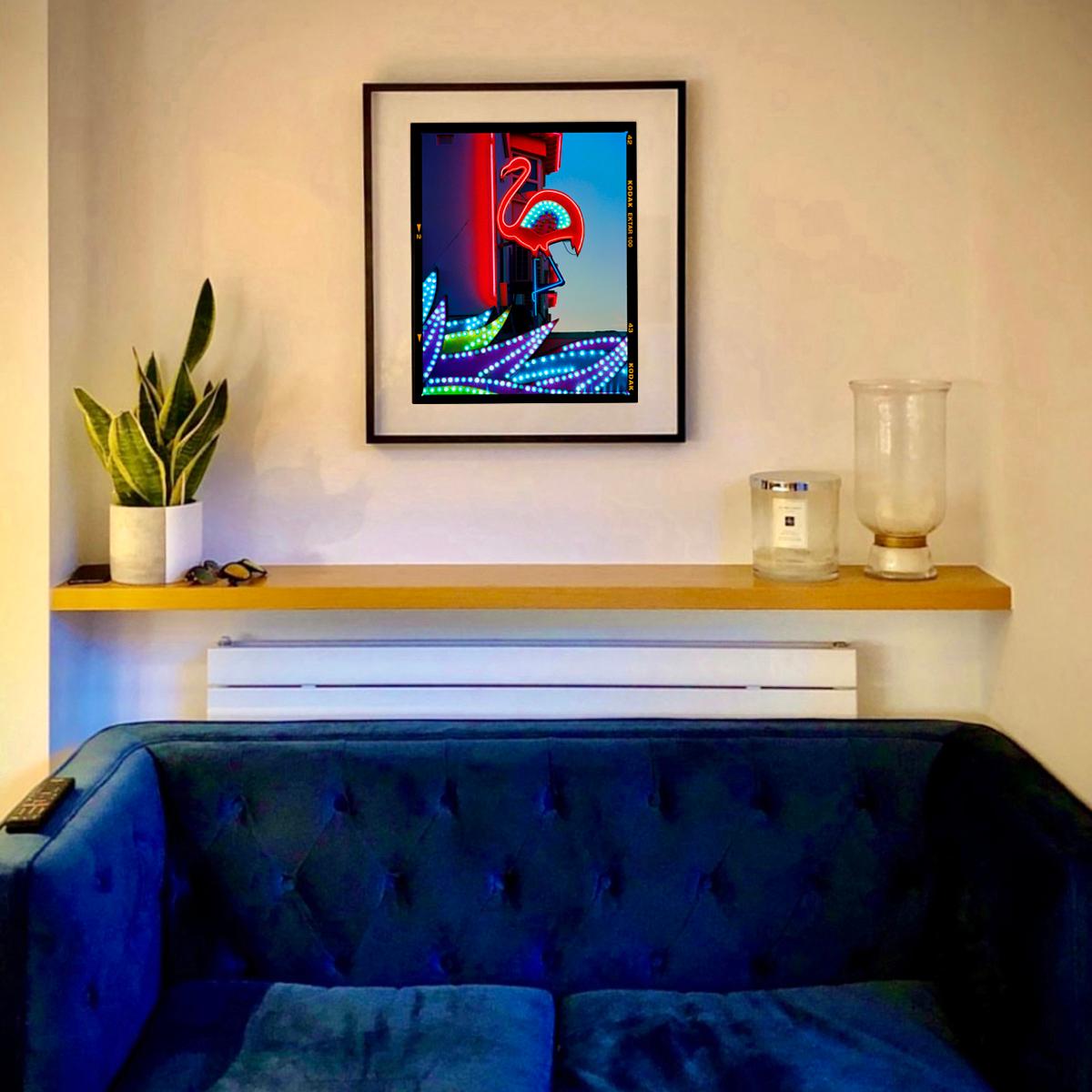 Flamant rose, Norfolk - Photographie couleur Pop Art en vente 3