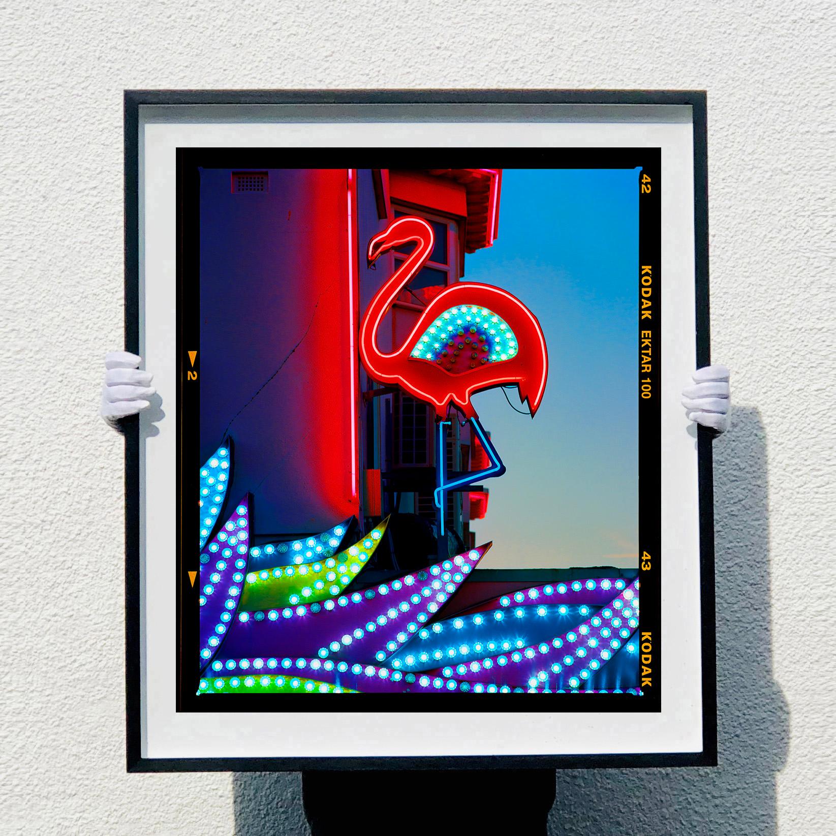 Neon Flamingo, Norfolk - Pop Art Color Photograph For Sale 8