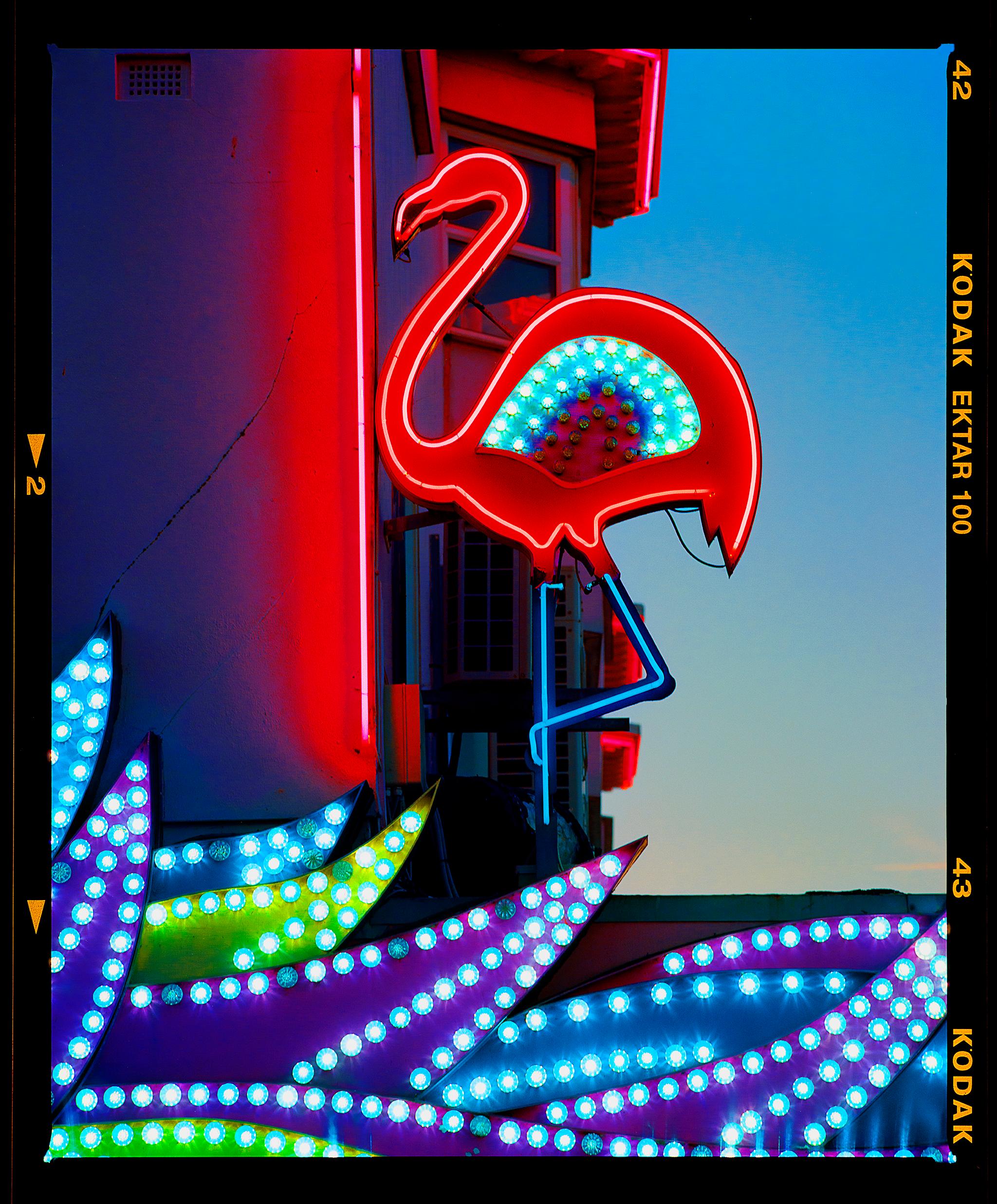 Color Photograph Richard Heeps - Flamant rose, Norfolk - Photographie couleur Pop Art