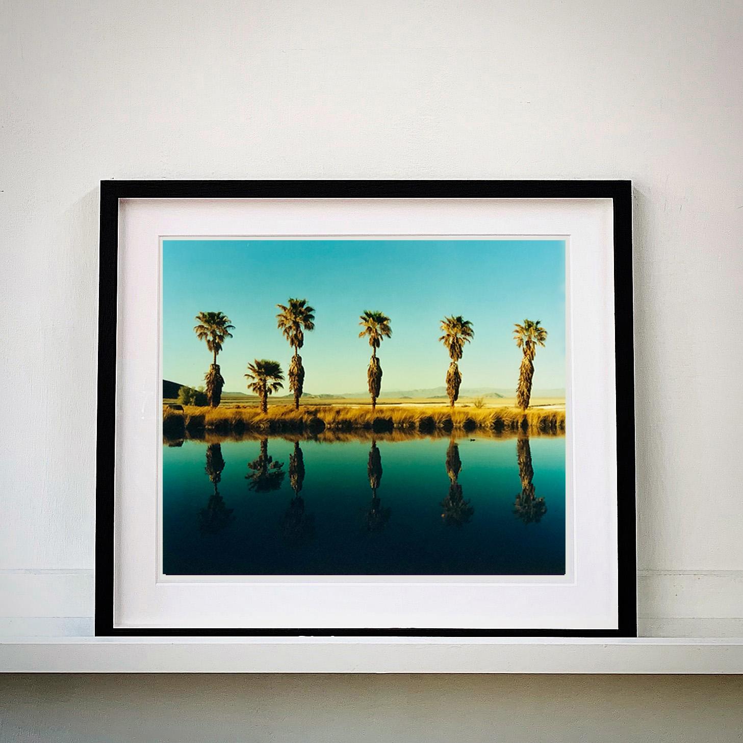 Nine Piece Desert Oasis Installation - Waterscape and Landscape Color Photograph For Sale 4