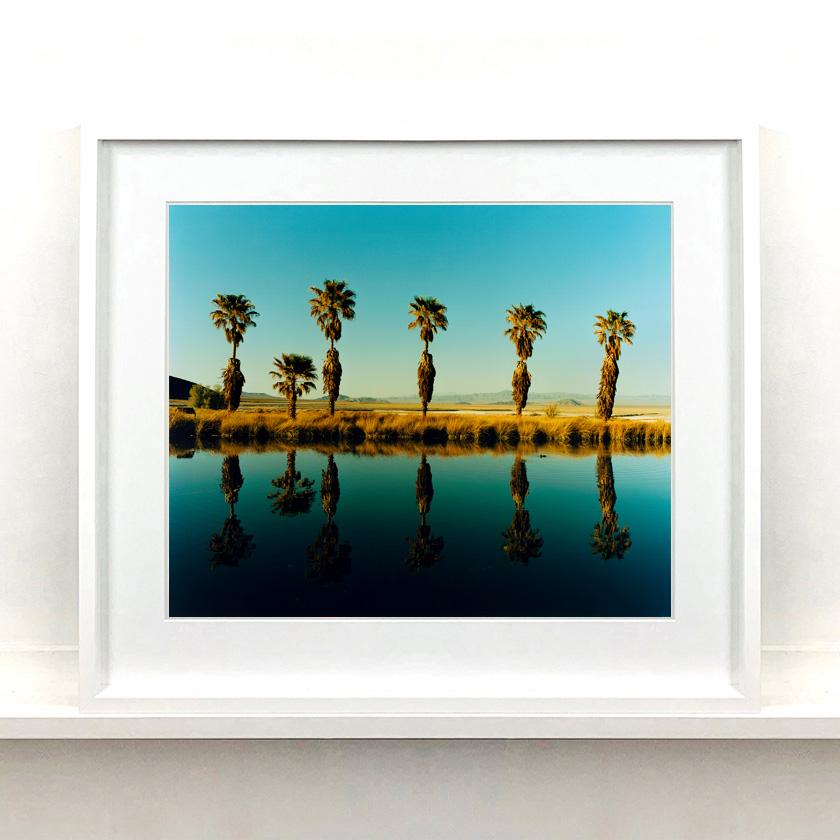 Nine Piece Framed Desert Oasis Installation - American Landscape Color Photo For Sale 6