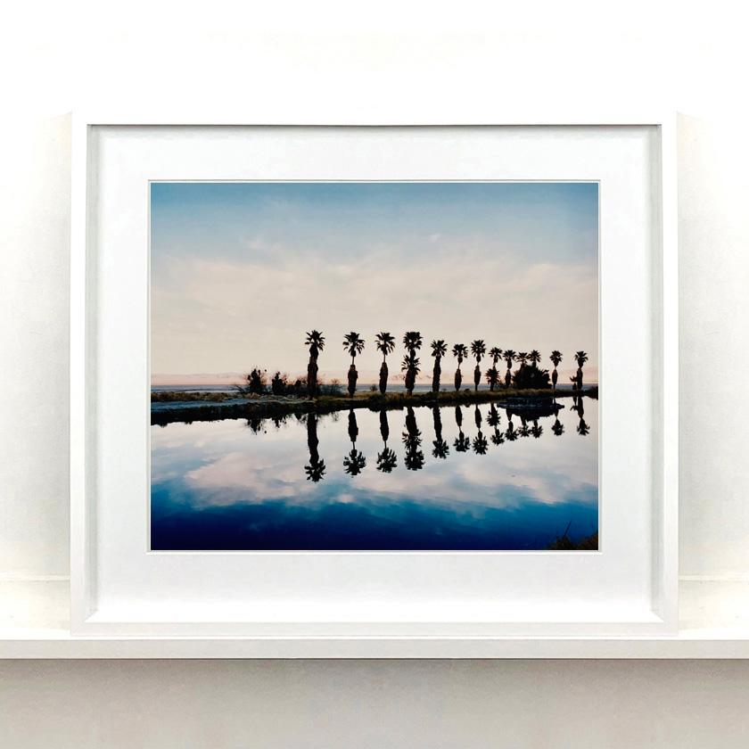 Nine Piece Framed Desert Oasis Installation - American Landscape Color Photo For Sale 2
