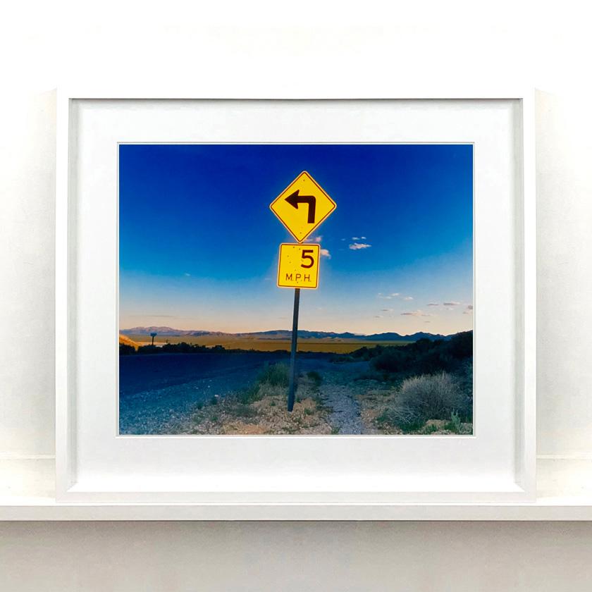 Nine Piece Framed Desert Oasis Installation - American Landscape Color Photo For Sale 5