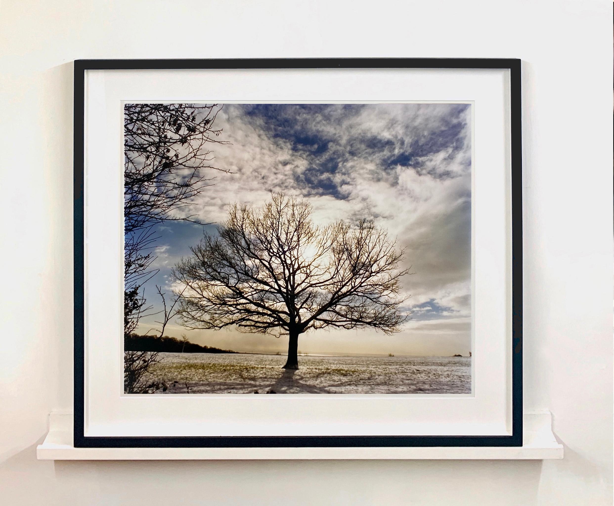 One Tree Hill, Langdon Hills Country Park, 2004 - Photograph by Richard Heeps