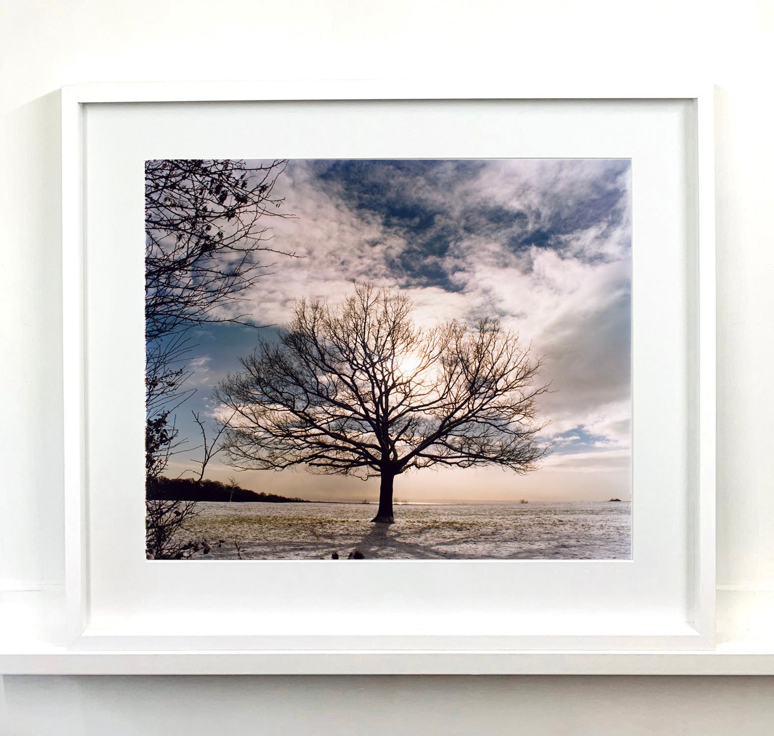 One Tree Hill, Langdon Hills Country Park, 2004 - Gray Landscape Photograph by Richard Heeps