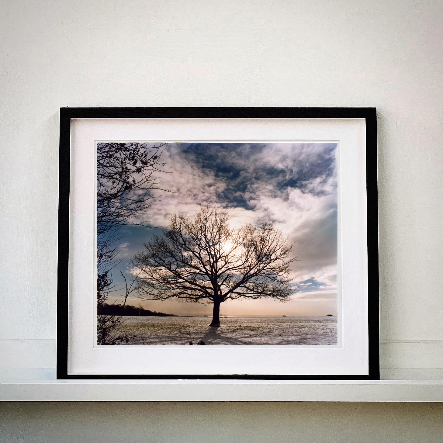 One Tree Hill, Langdon Hills Country Park - English landscape photography - Photograph by Richard Heeps