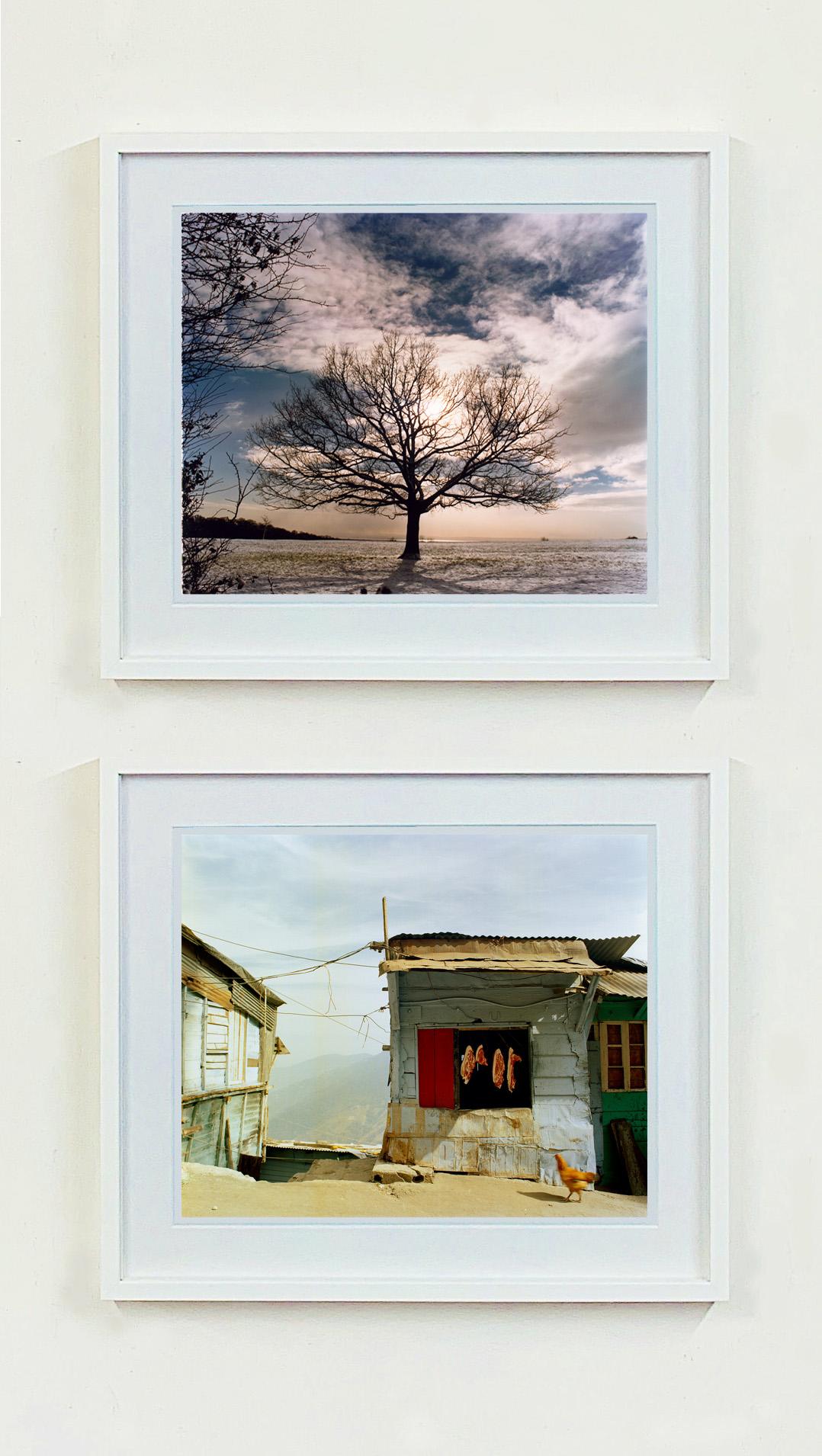 One Tree Hill, Langdon Hills Country Park - Fotografía de paisajes ingleses - Color Photograph Gris de Richard Heeps