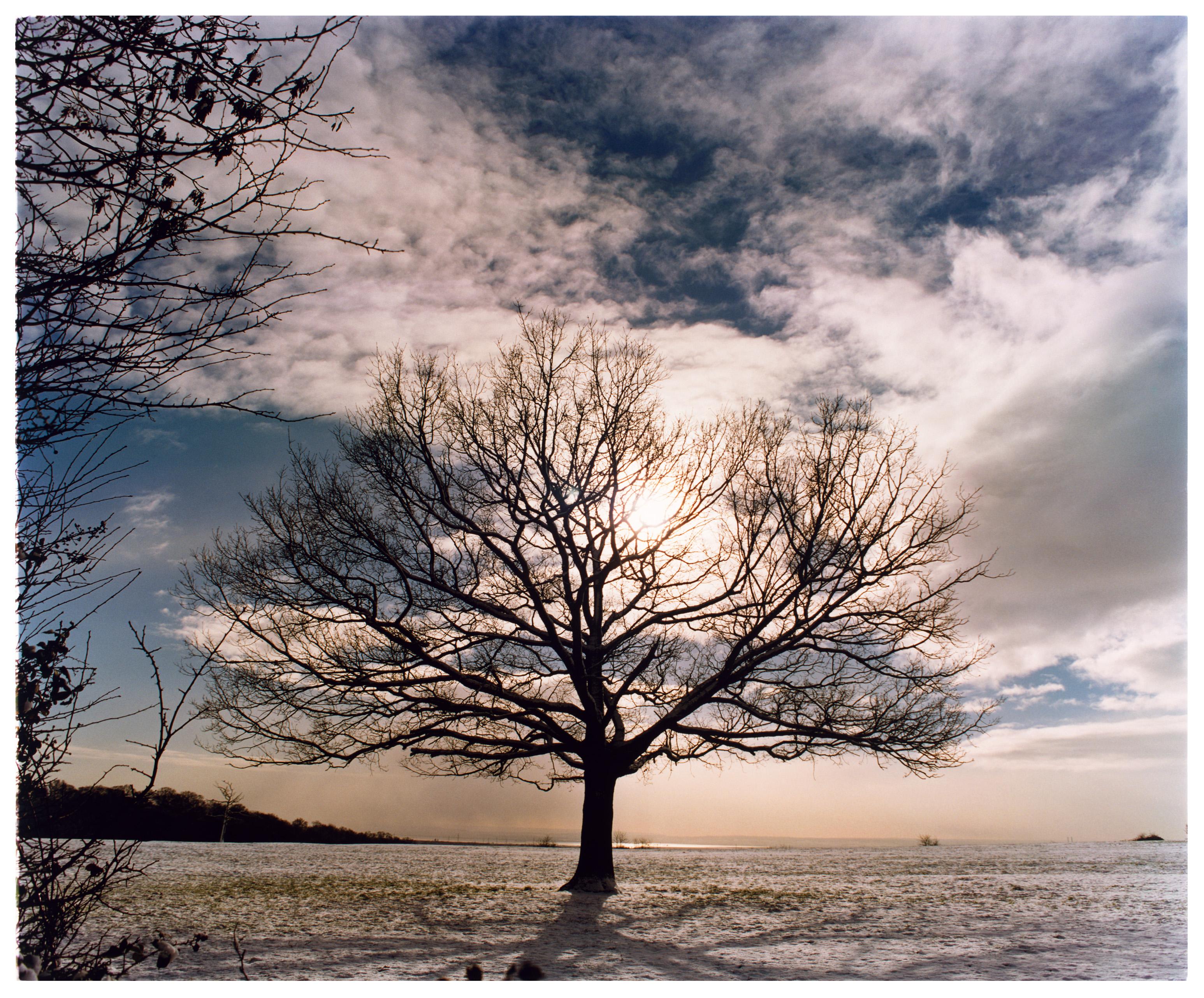 Richard Heeps Color Photograph - One Tree Hill, Langdon Hills Country Park - English landscape photography
