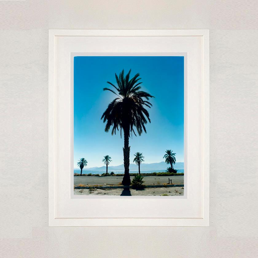 Palmiers de Salton, Californie - Photographie couleur de paysage américain bleu - Contemporain Print par Richard Heeps