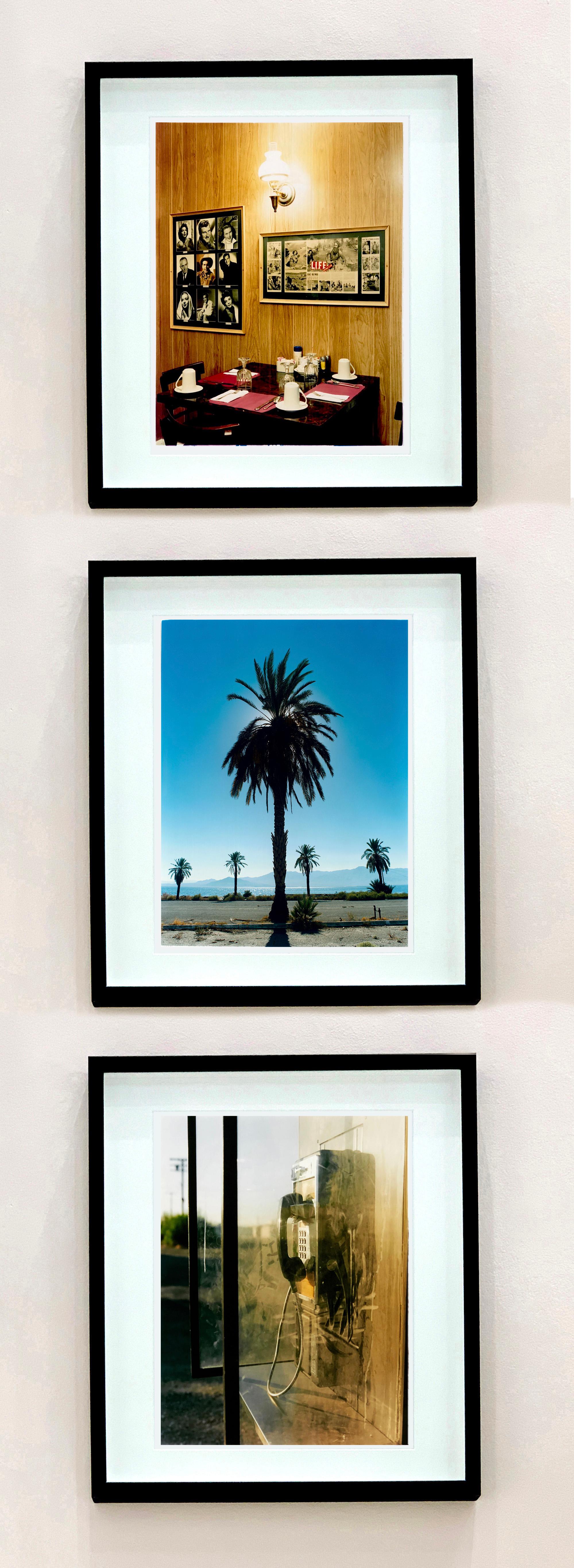 Palmier, photographie tirée de la série Salton Sea de Richard Heeps. La silhouette d'un palmier domine l'image, se détachant sur le ciel californien ultra bleu qui irradie de chaleur.

Cette œuvre est une édition limitée à 25 exemplaires, impression