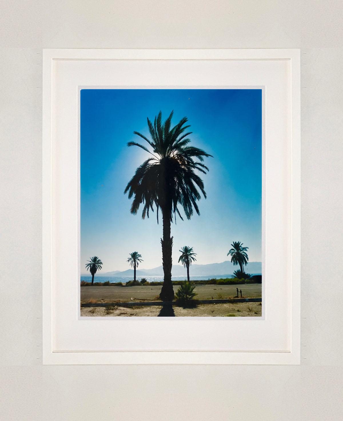 Palm Tree, Salton Sea, California - Blue sky palm print color photo - Photograph by Richard Heeps