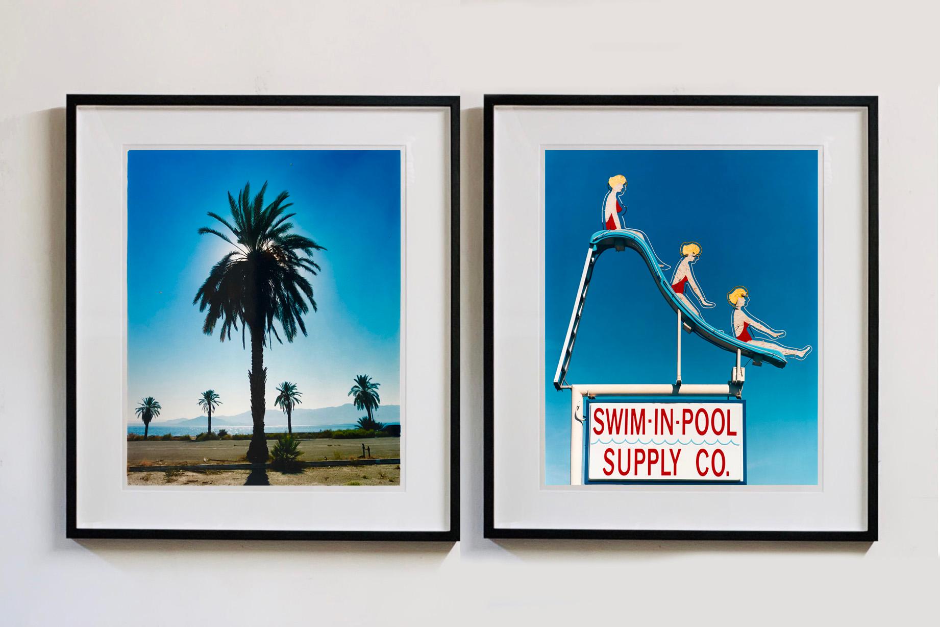 Palm Tree, Salton Sea, California - Blue sky palm print color photo For Sale 1