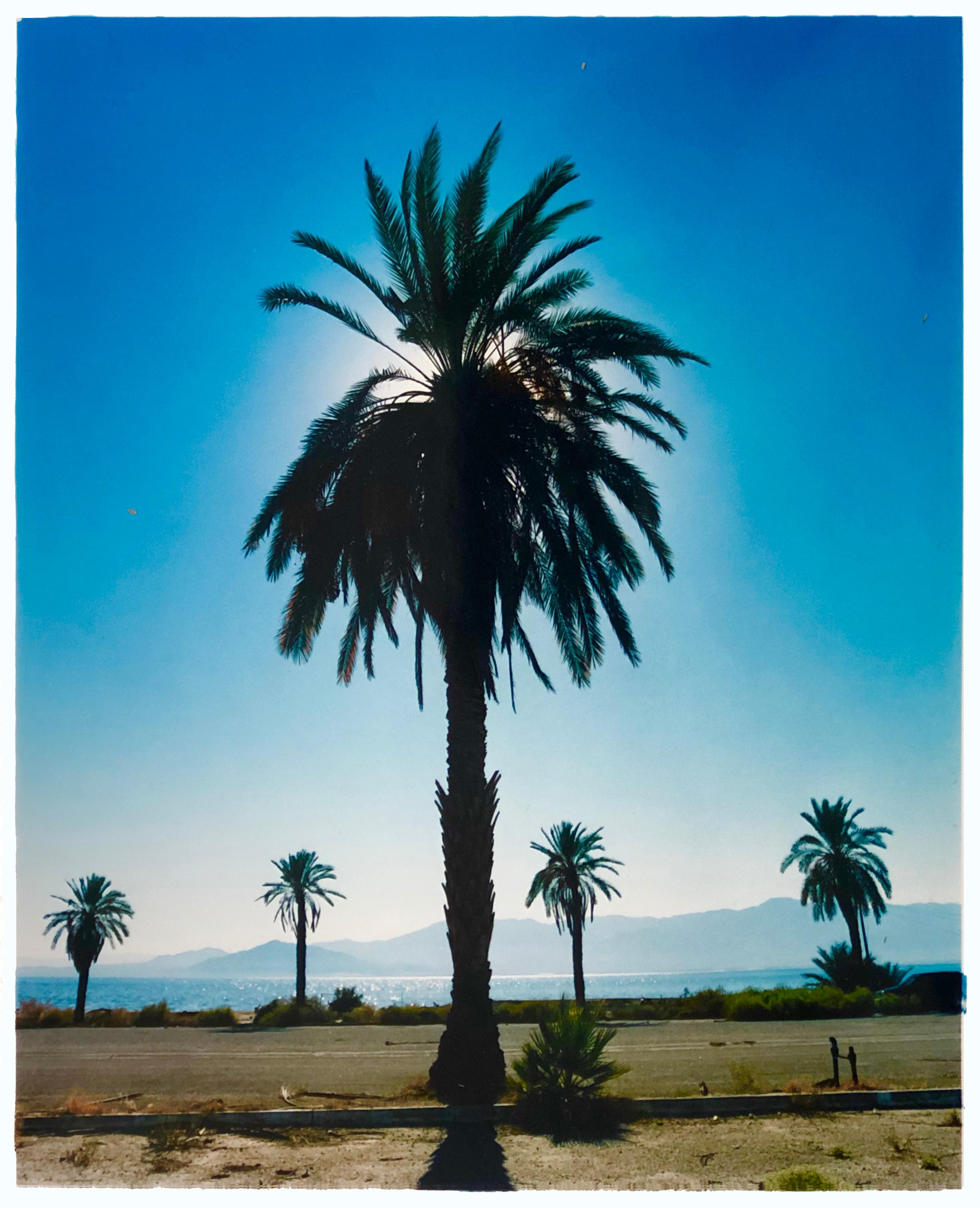 Richard Heeps Landscape Photograph - Palm Tree, Salton Sea, California - Blue sky palm print color photo