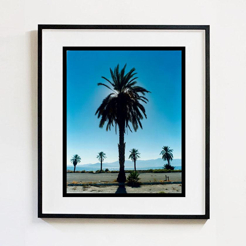 Palma Salton Sea Joshua Tree, deserto del Mojave, fotografia a colori della California - Landscape Photograph Grigio di Richard Heeps