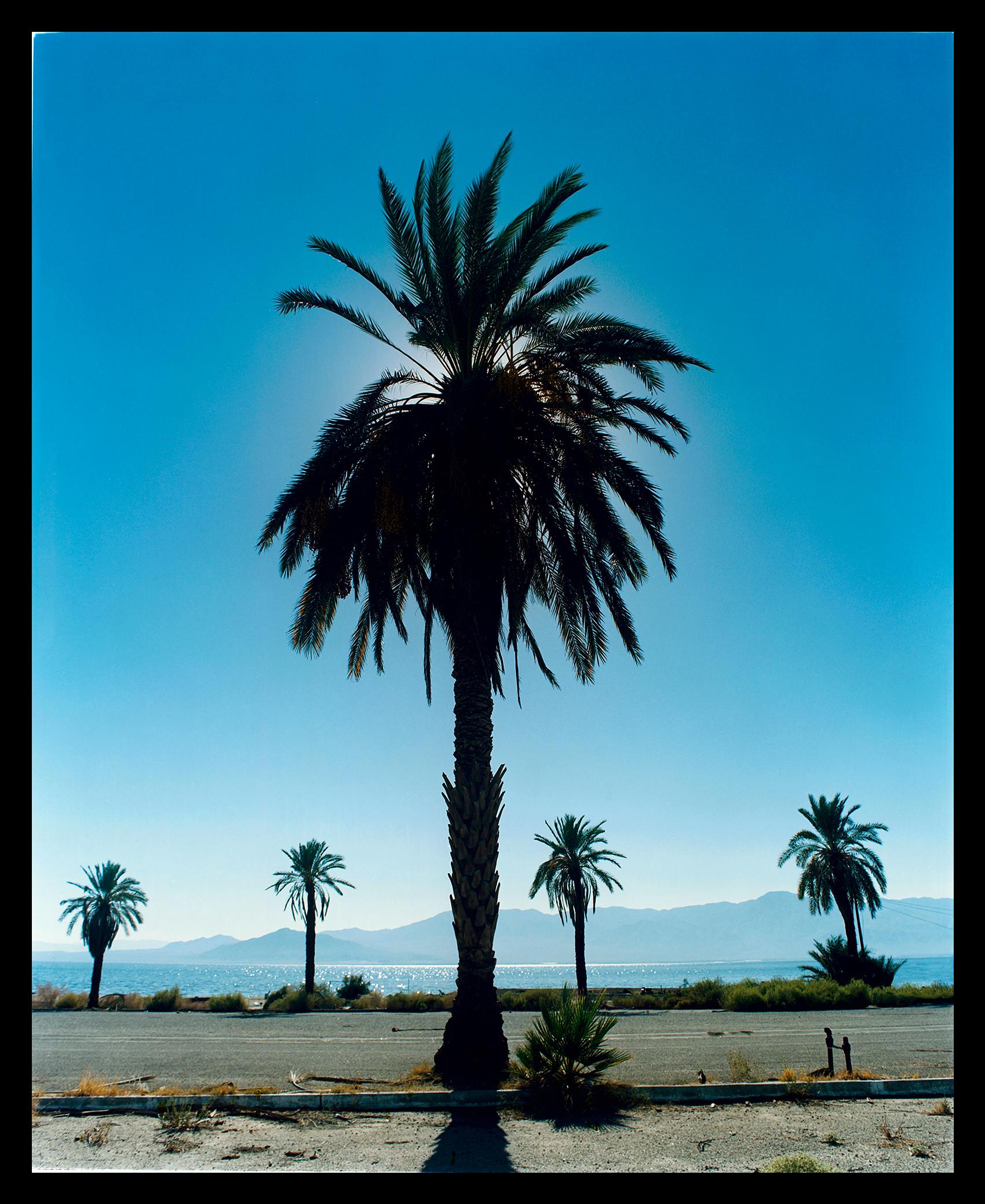 Palm Tree, Salton Sea e Joshua Tree, Mojave Desert, due opere fotografiche di paesaggi californiani di Richard Heeps.

Ogni opera incorniciata misura 27,6
