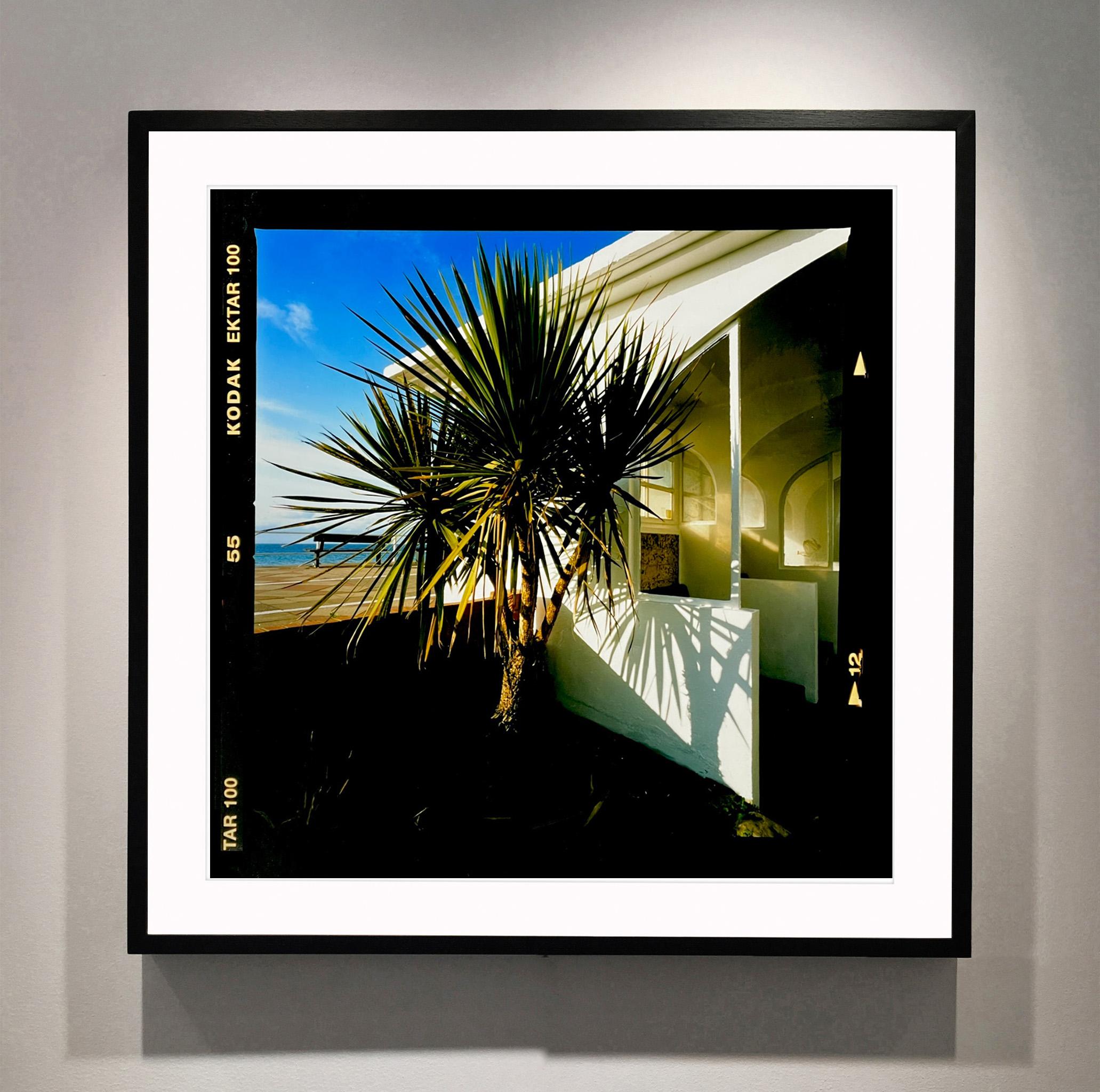Palmen, St. Leonard's-on-Sea – britische Farbfotografie – Photograph von Richard Heeps