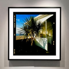 Palms, St Leonard's-on-Sea - British Color Photography