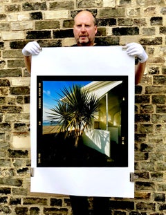 Palms, St Leonard's-on-Sea - British Color Photography
