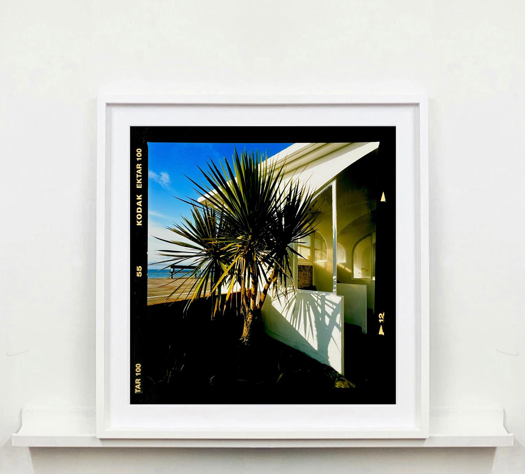 Palmen, St. Leonard's-on-Sea – britische Farbfotografie (Zeitgenössisch), Photograph, von Richard Heeps