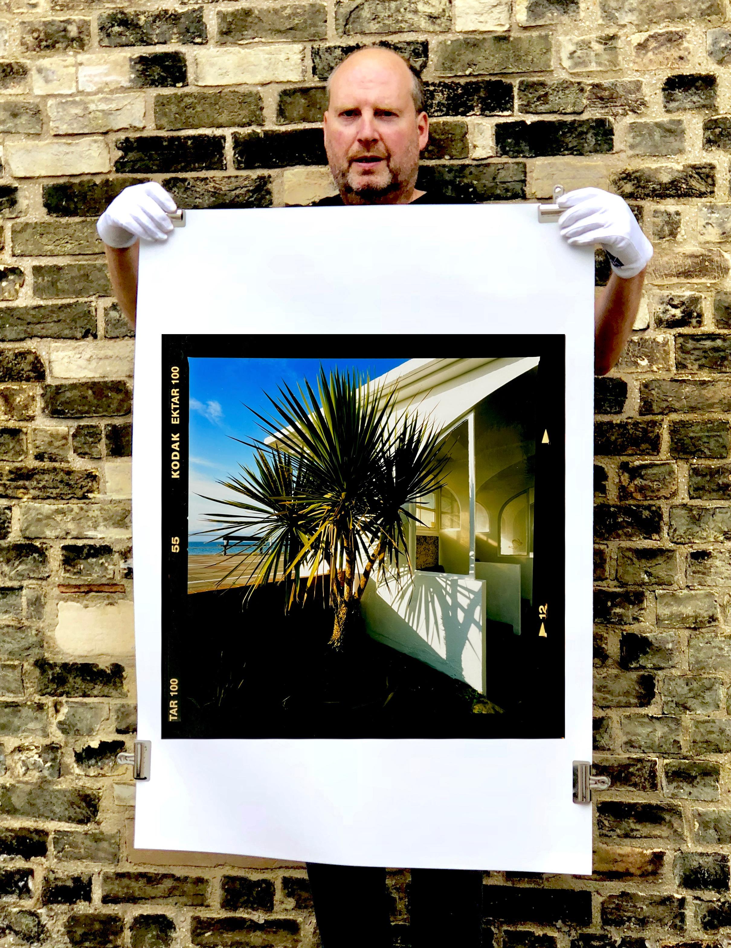 Palmen, St. Leonard's-on-Sea – britische Farbfotografie (Schwarz), Color Photograph, von Richard Heeps
