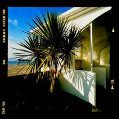 Palms, St Leonard's-on-Sea - Photographie en couleur britannique