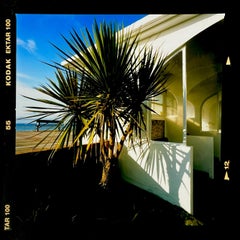 Palms, St Leonard's-on-Sea - British Color Photography