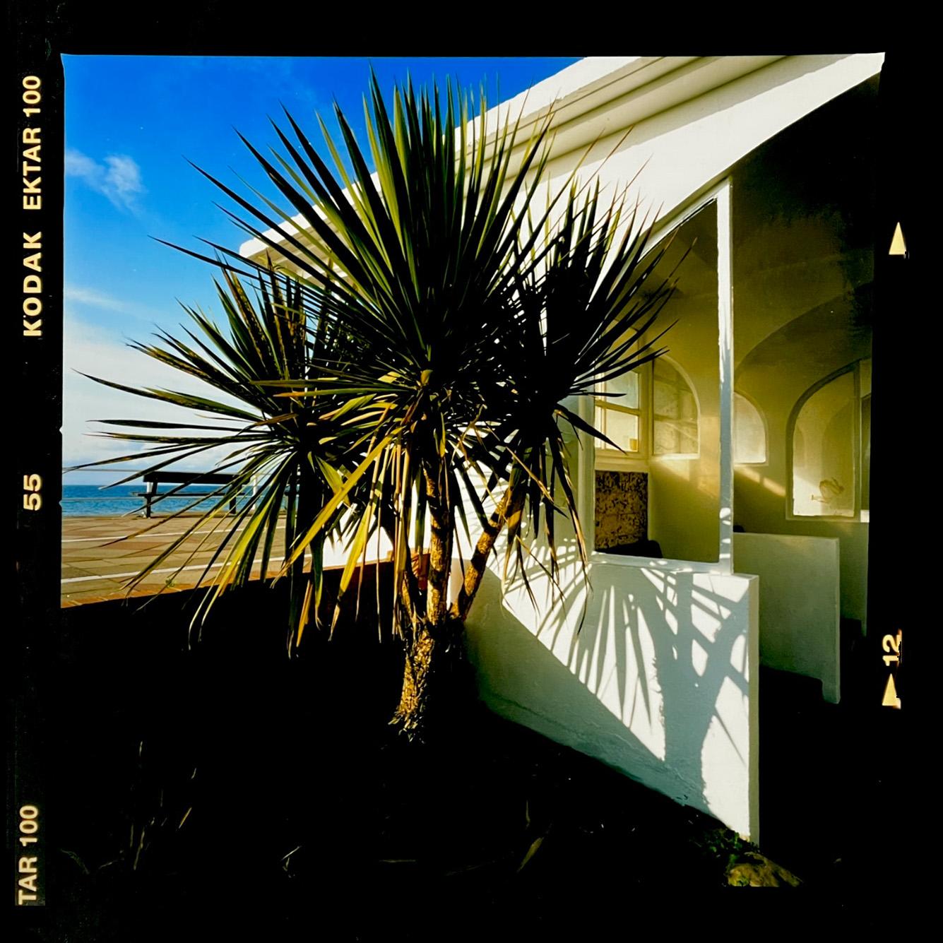 Richard Heeps Color Photograph – Palmen, St. Leonard's-on-Sea – britische Farbfotografie