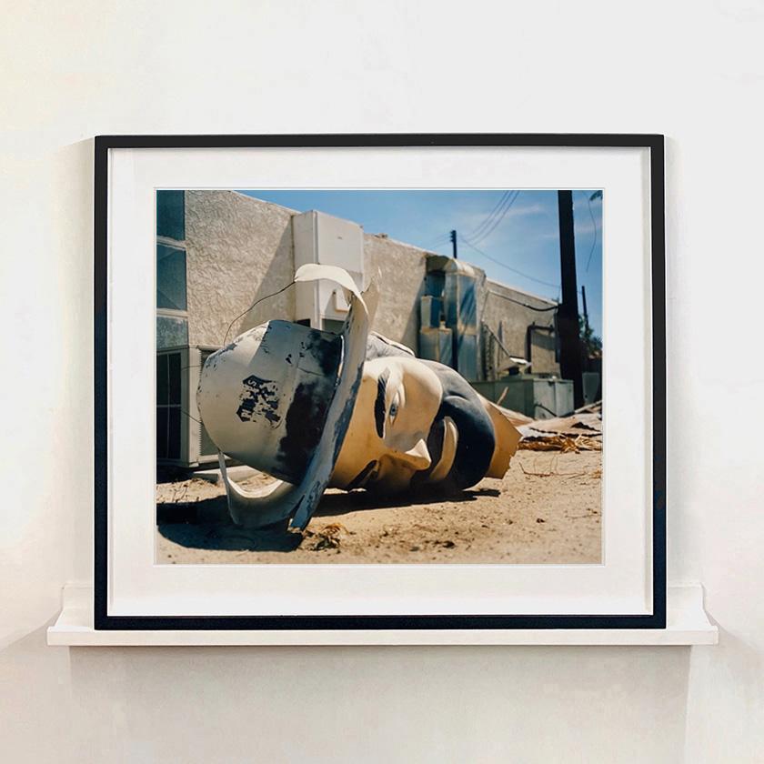 Cabeza de vaquero americano, Salton Sea, California - Fotografía en color de Roadside America - Photograph de Richard Heeps