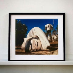 Cabeza y torso del pobre Richard, Salton Sea, California - Roadside America Color Photo