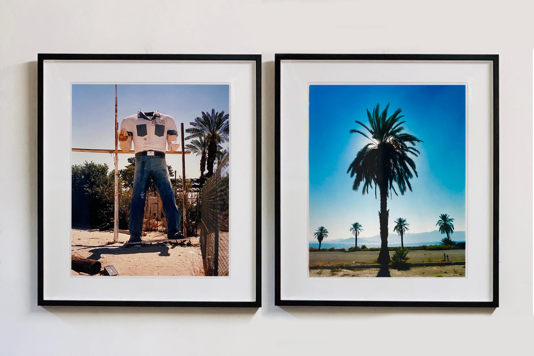 Poor Richard, a classic American icon, the roadside giant captured in the Salton Sea, California. Part of a series of pictures by Richard Heeps featuring the torso and head in the setting of the palm trees and desert dust and sun.

This artwork is a