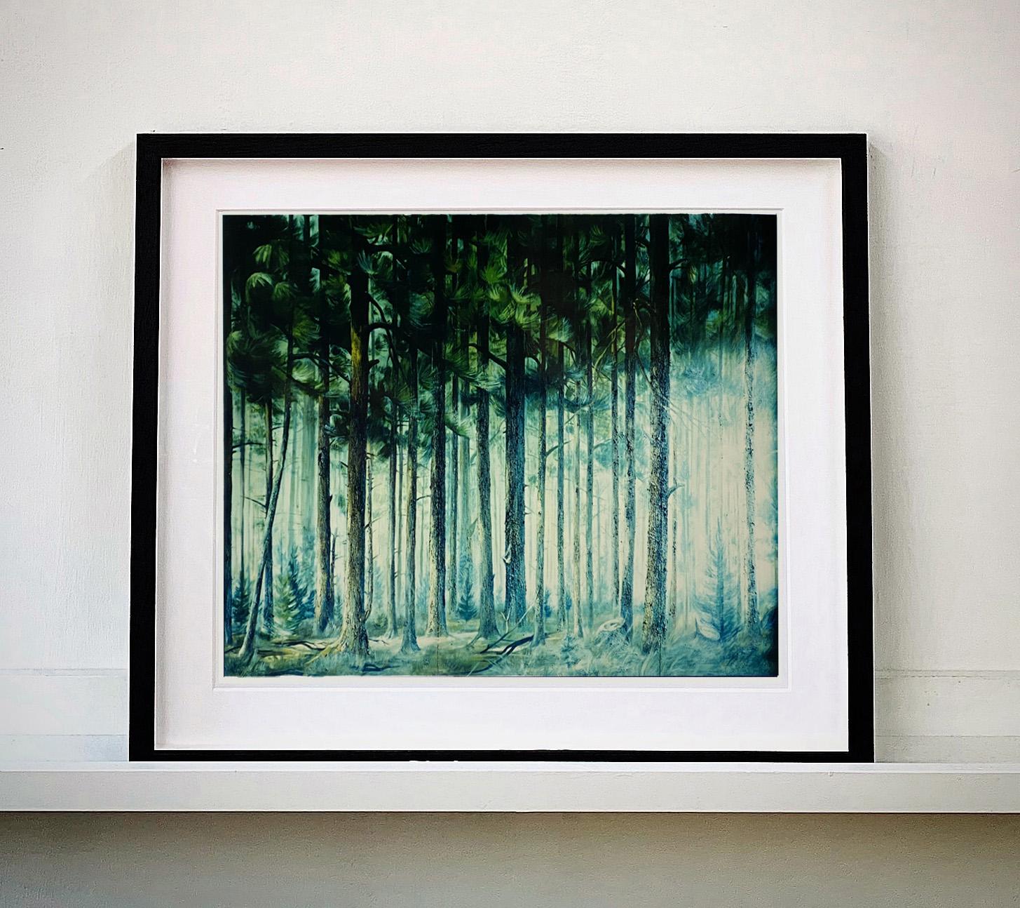 Ray of Light, Ho Chi Minh City - Color Photography of Trees - Print by Richard Heeps