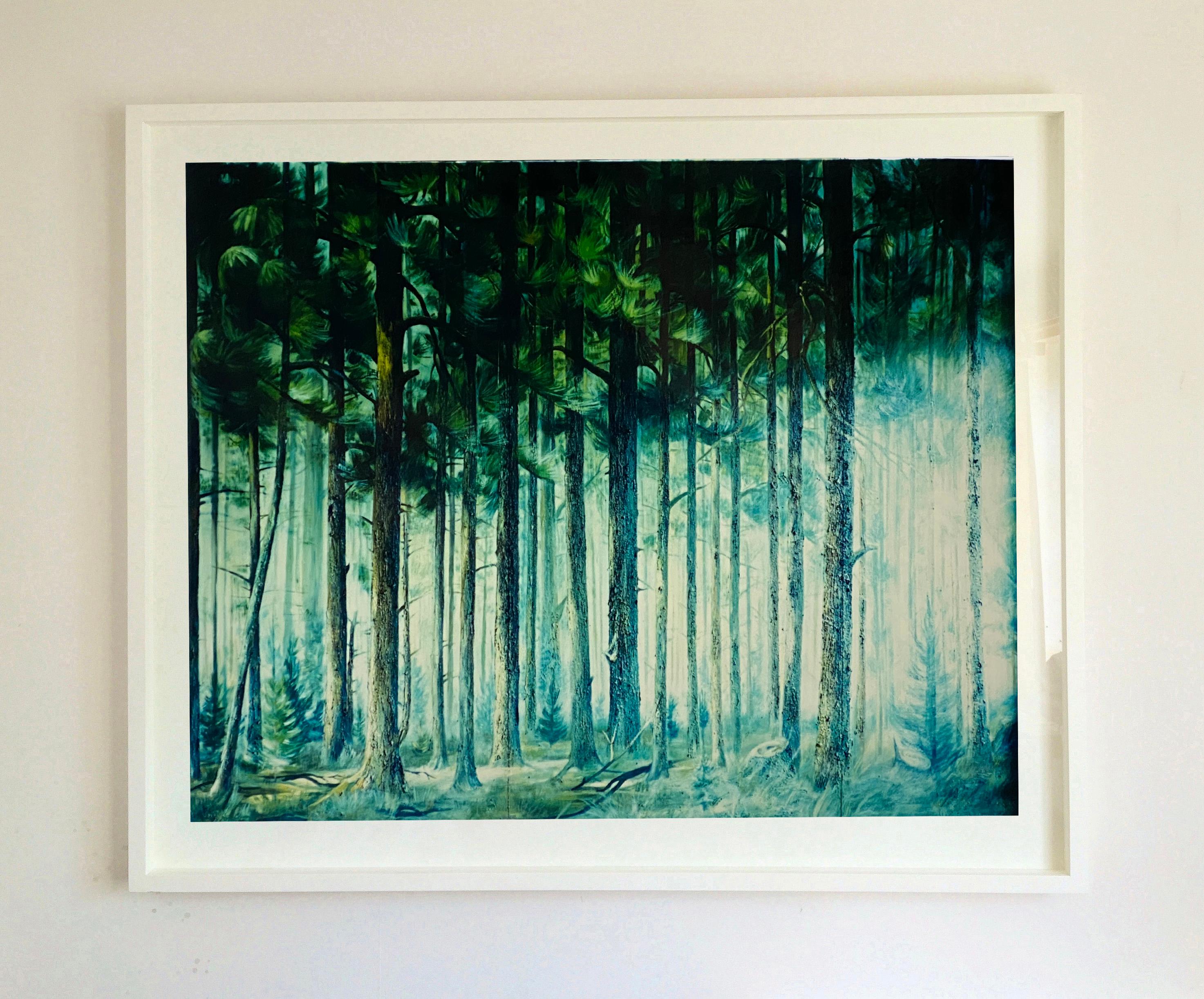'Ray of Light', part of Richard Heeps Vietnam series 'This is Not America', this unusual photograph of trees has a spiritual quality. 

This artwork is a limited edition of 25 gloss photographic print made in the artist's darkroom. It is signed and