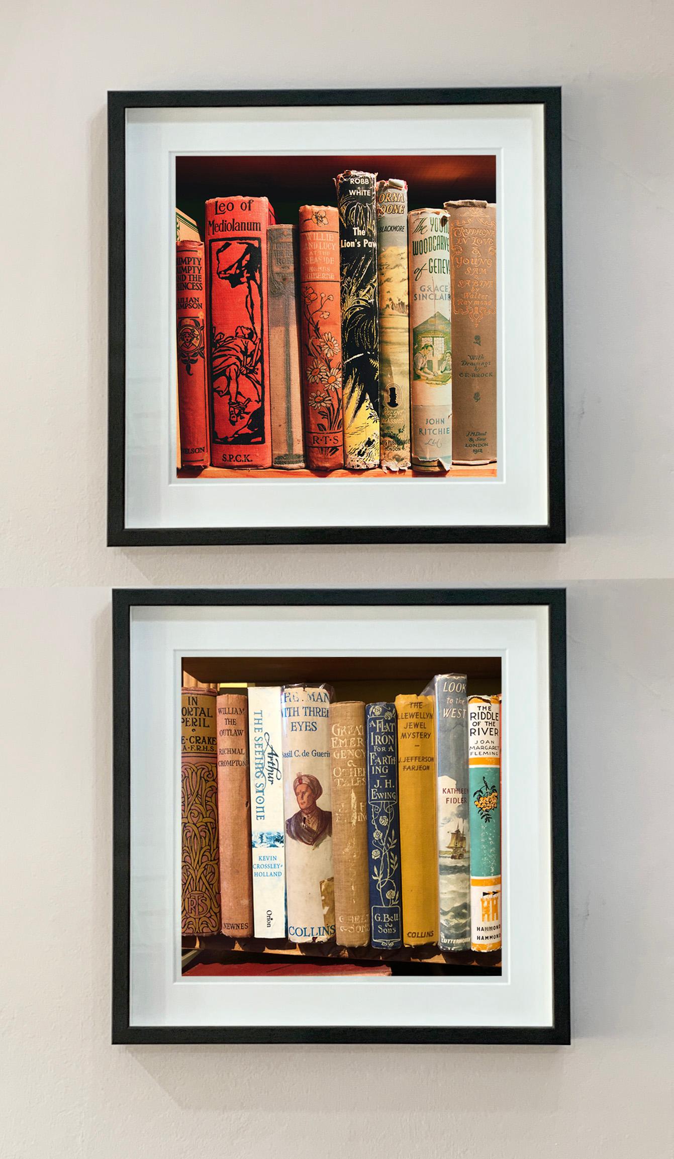 Riddle of the River, présente une collection de dos de livres anciens sur une étagère, dans une photographie de Richard Heeps tirée de sa série In The Treasure Trove. Pris dans une librairie d'occasion de Norfolk, le motif linéaire est une signature