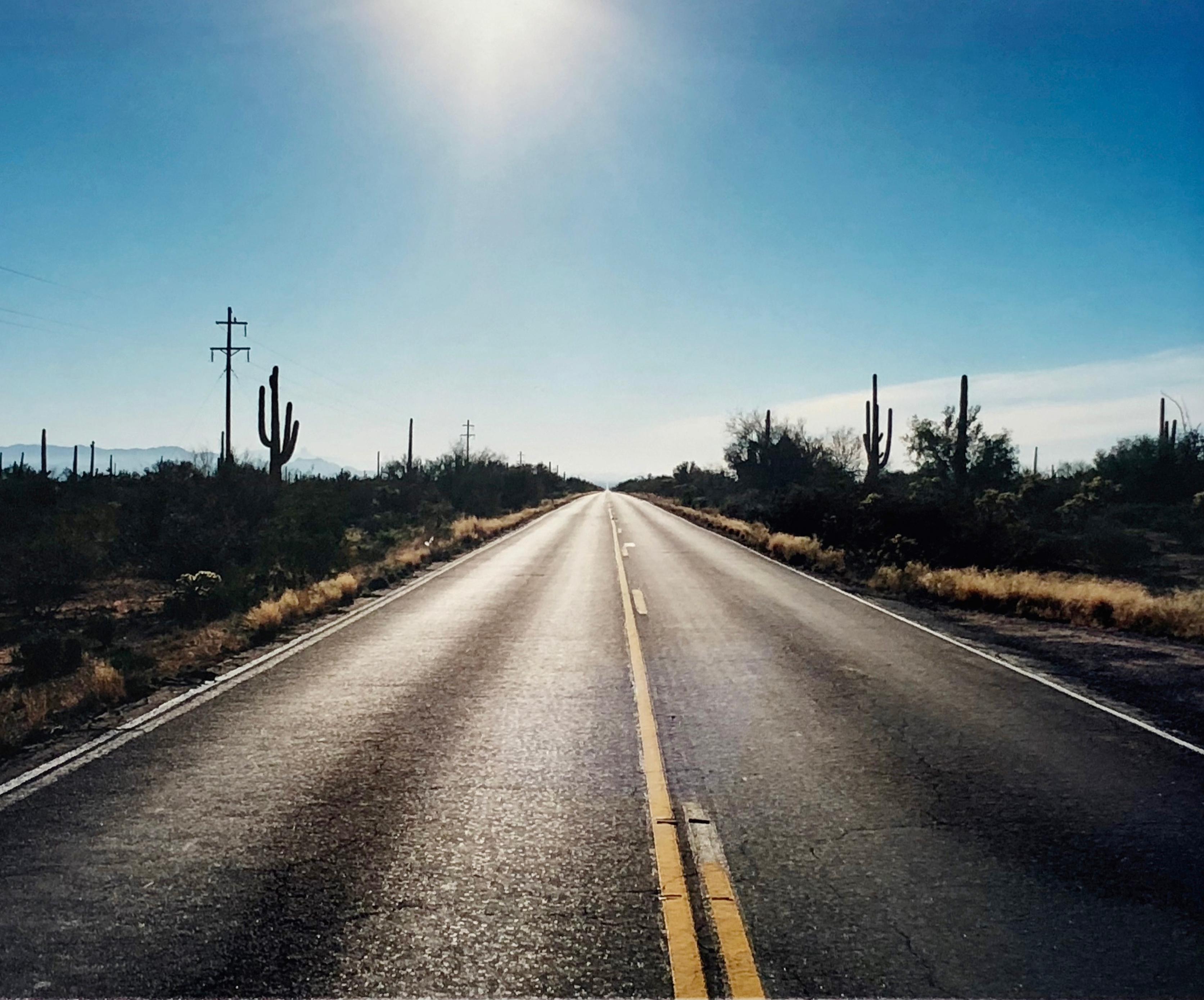 Richard Heeps Landscape Photograph - Road to Gunsight, Highway 86, Arizona - American landscape color photography