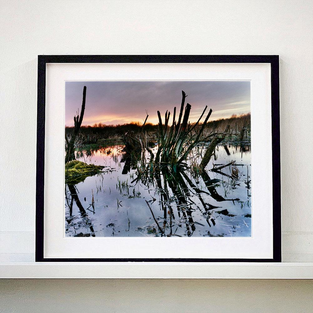 Sedge Fen, Wicken Fen, Cambridgeshire - photographie de paysage et de nature - Photograph de Richard Heeps