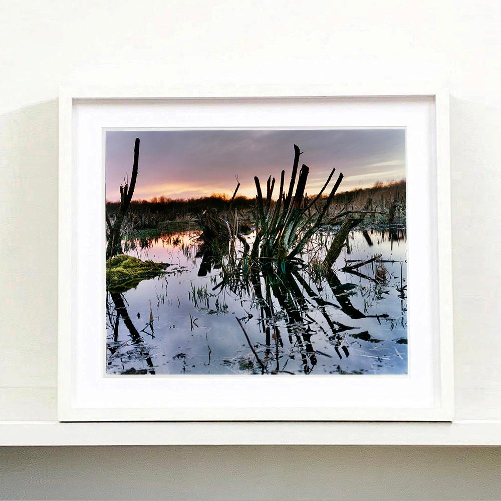 Sedge Fen, Wicken Fen, Cambridgeshire - photographie de paysage et de nature - Contemporain Photograph par Richard Heeps