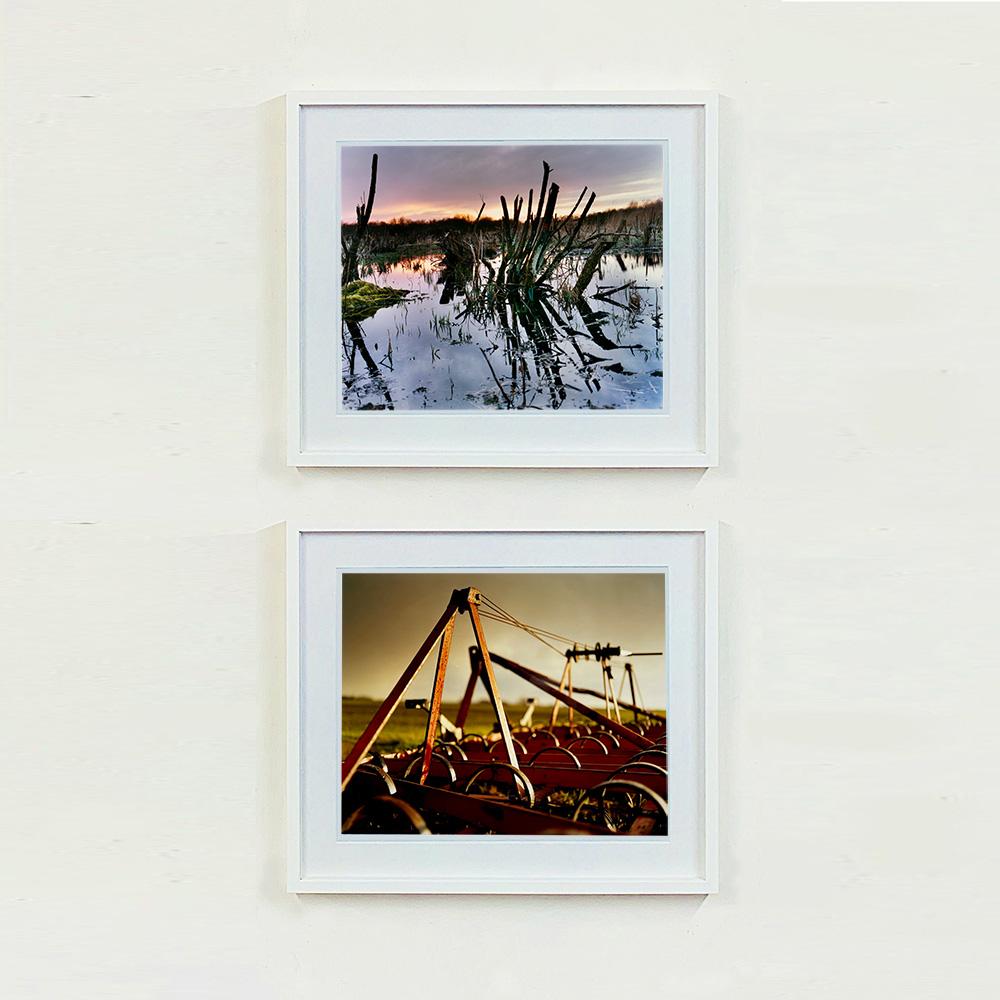 Sedge Fen, Wicken Fen, Cambridgeshire - photographie de paysage et de nature - Gris Landscape Photograph par Richard Heeps