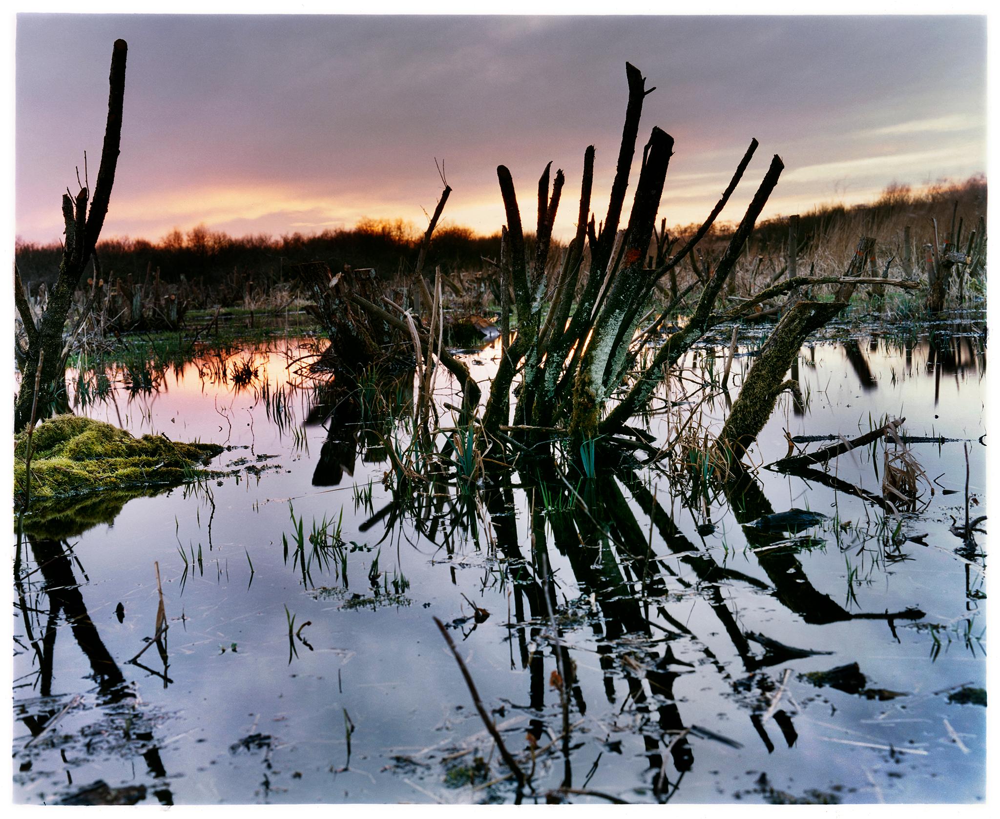 Landscape Photograph Richard Heeps - Sedge Fen, Wicken Fen, Cambridgeshire - photographie de paysage et de nature
