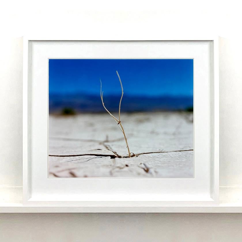 Six Piece Desert Oasis Framed Photography Installation. 
A collection of blue hued landscapes and waterscapes from Richard Heeps travels, American road trips shooting his series Dream in Color, Bonneville, Salton Sea. Shot on film these are