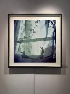 Snake Dips Down, Hong Kong - Asian Contemporary Color Photography