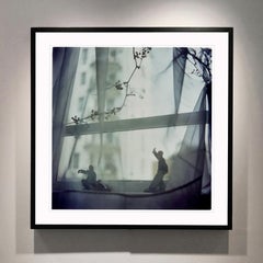 Snake Dips Down, Hong Kong - Asian still life, color photography